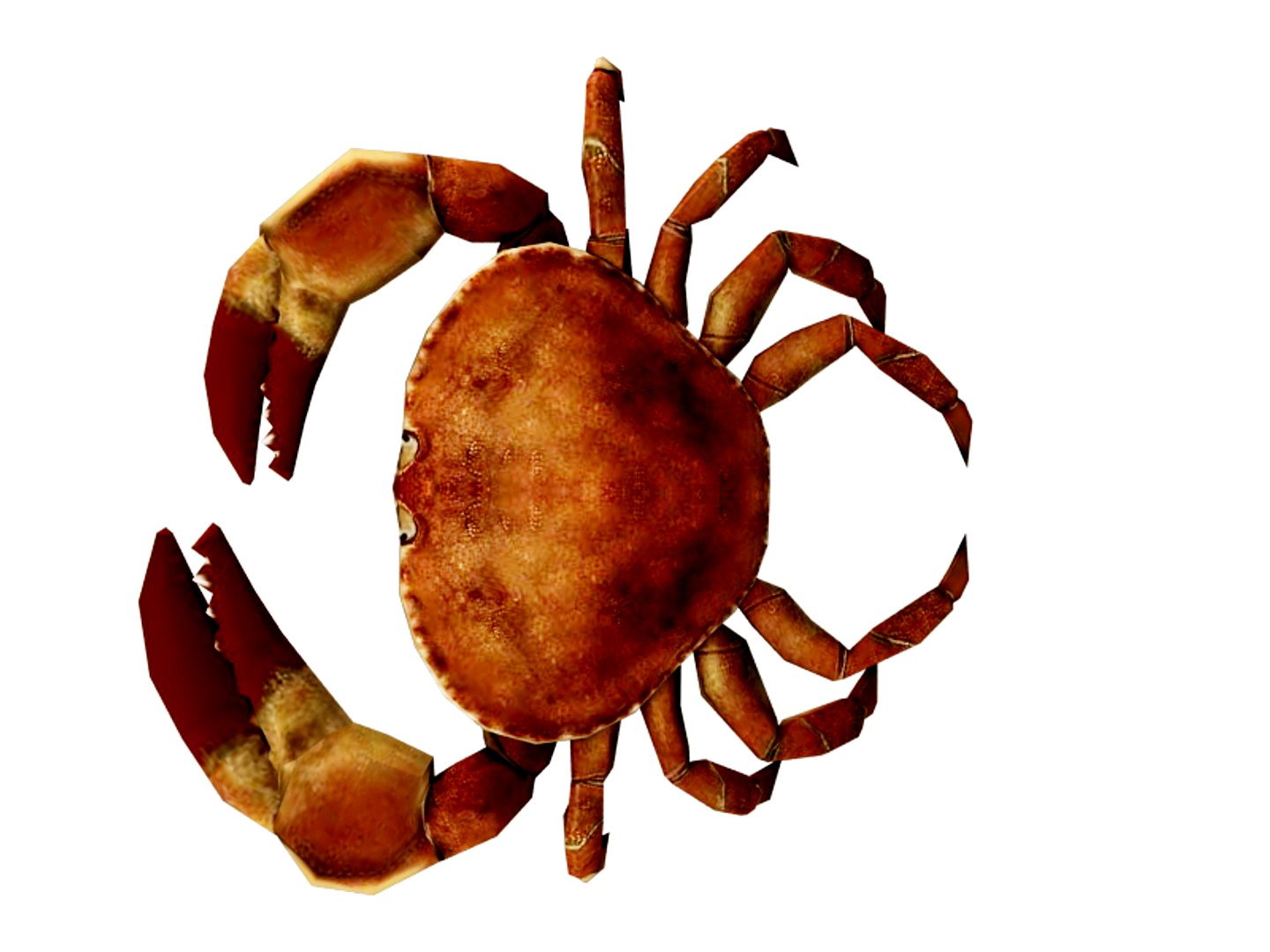 crab lobster 3D model