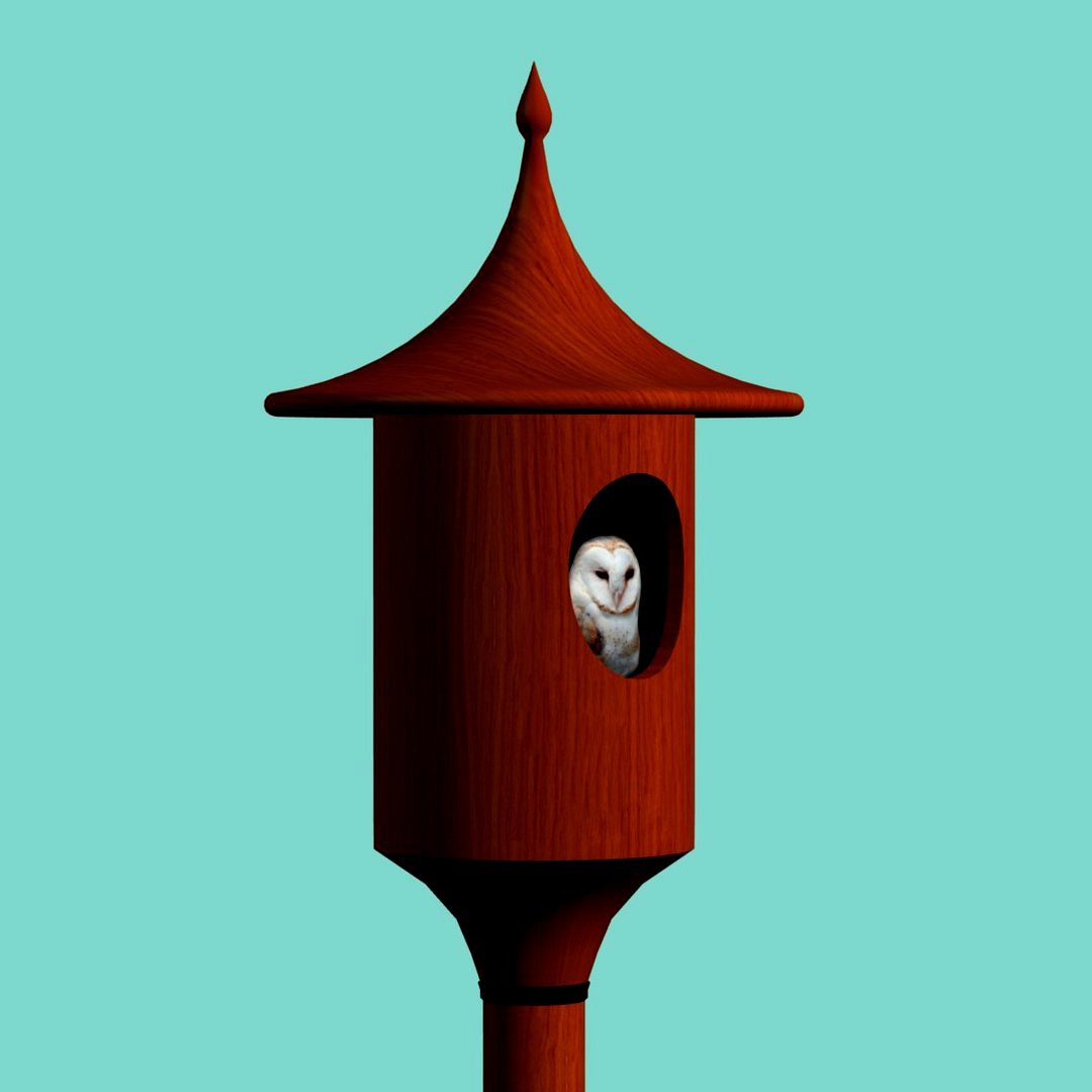 AM Birdhouse4