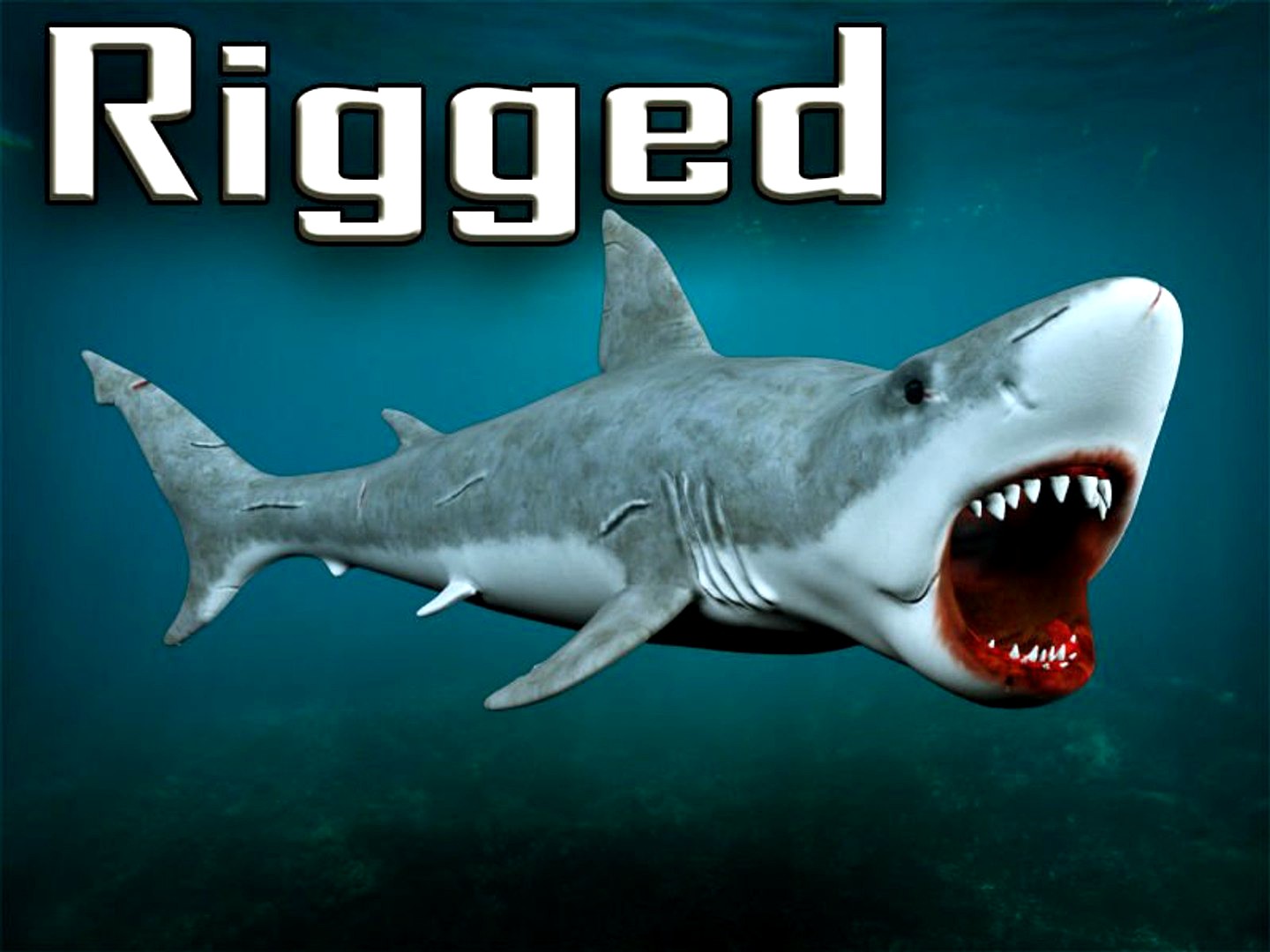 rigged shark