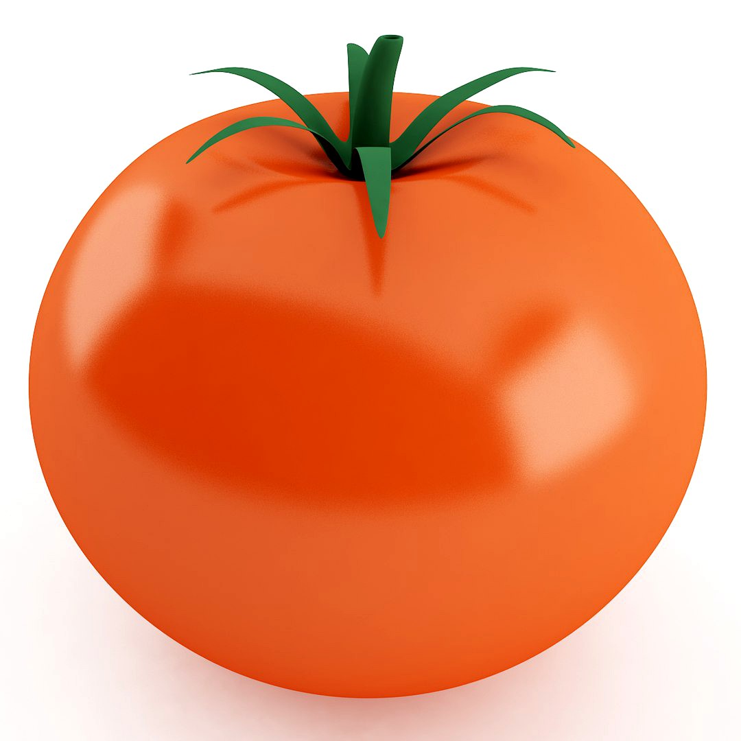 Tomato