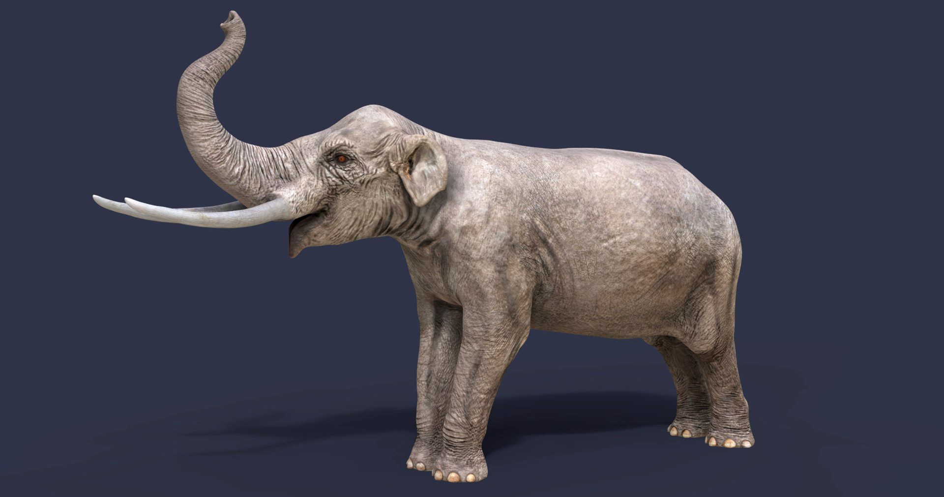 Extinct animals pack version 12