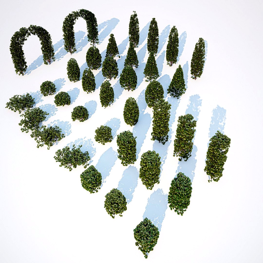 Formed Hedge Collection