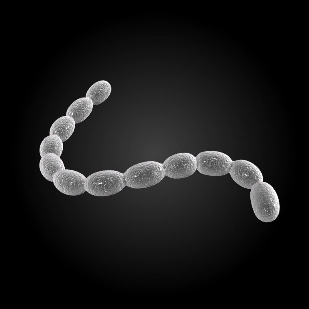 cavity - streptococcus mutans