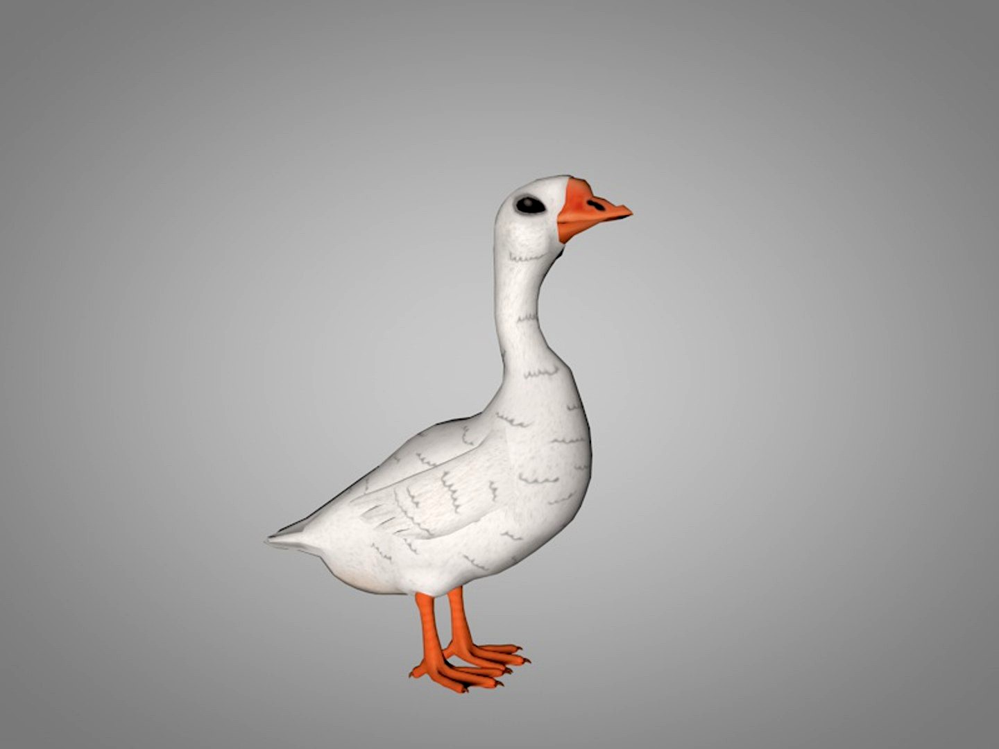 Goose