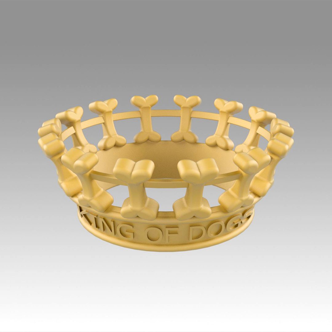 Crown for dogs king of dogs