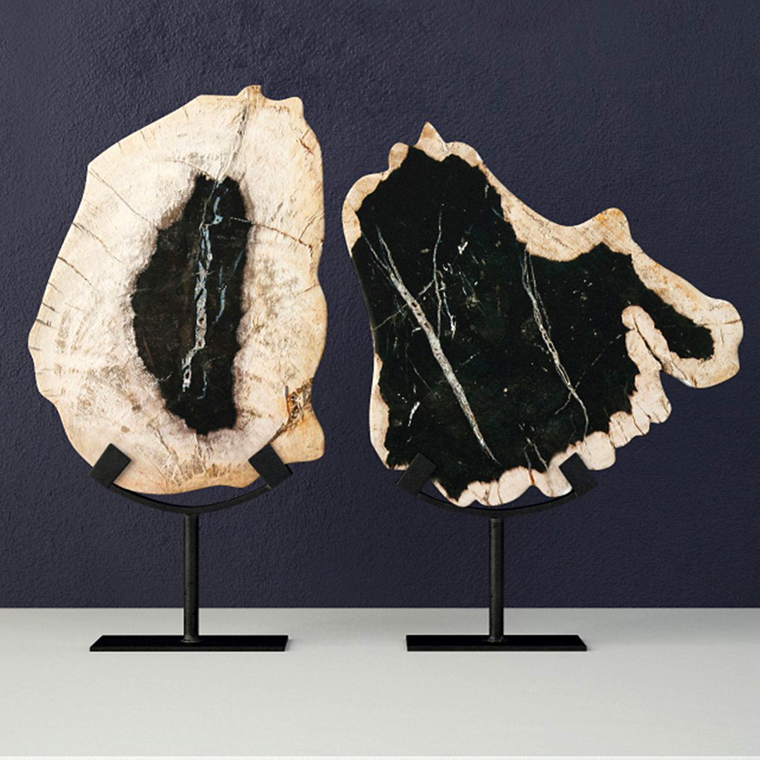 Petrified Wood Slices On Stand