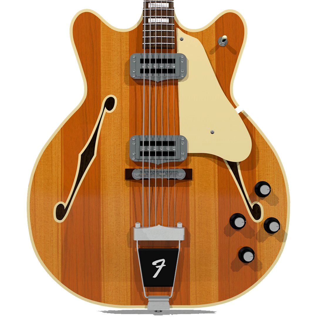 Guitar: Fender Wildwood / Coronado: Orange Stripes
