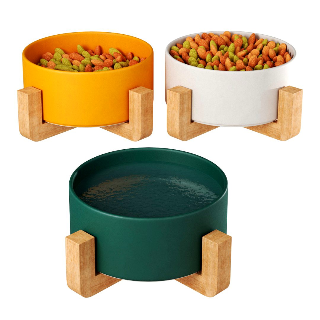 Pet elevated feeder