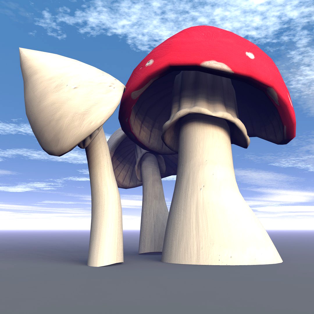 Toadstools