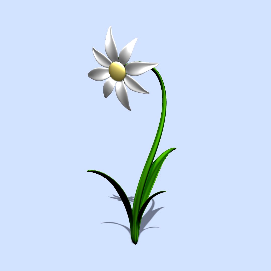 Daisy