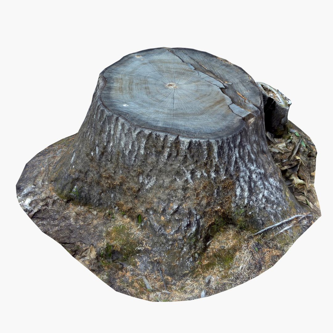 Tree Stump - 2 Level Top