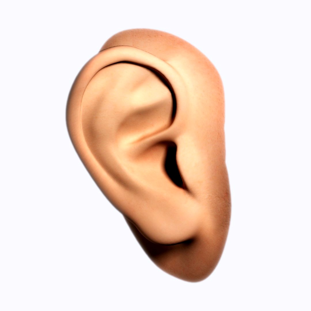 ear