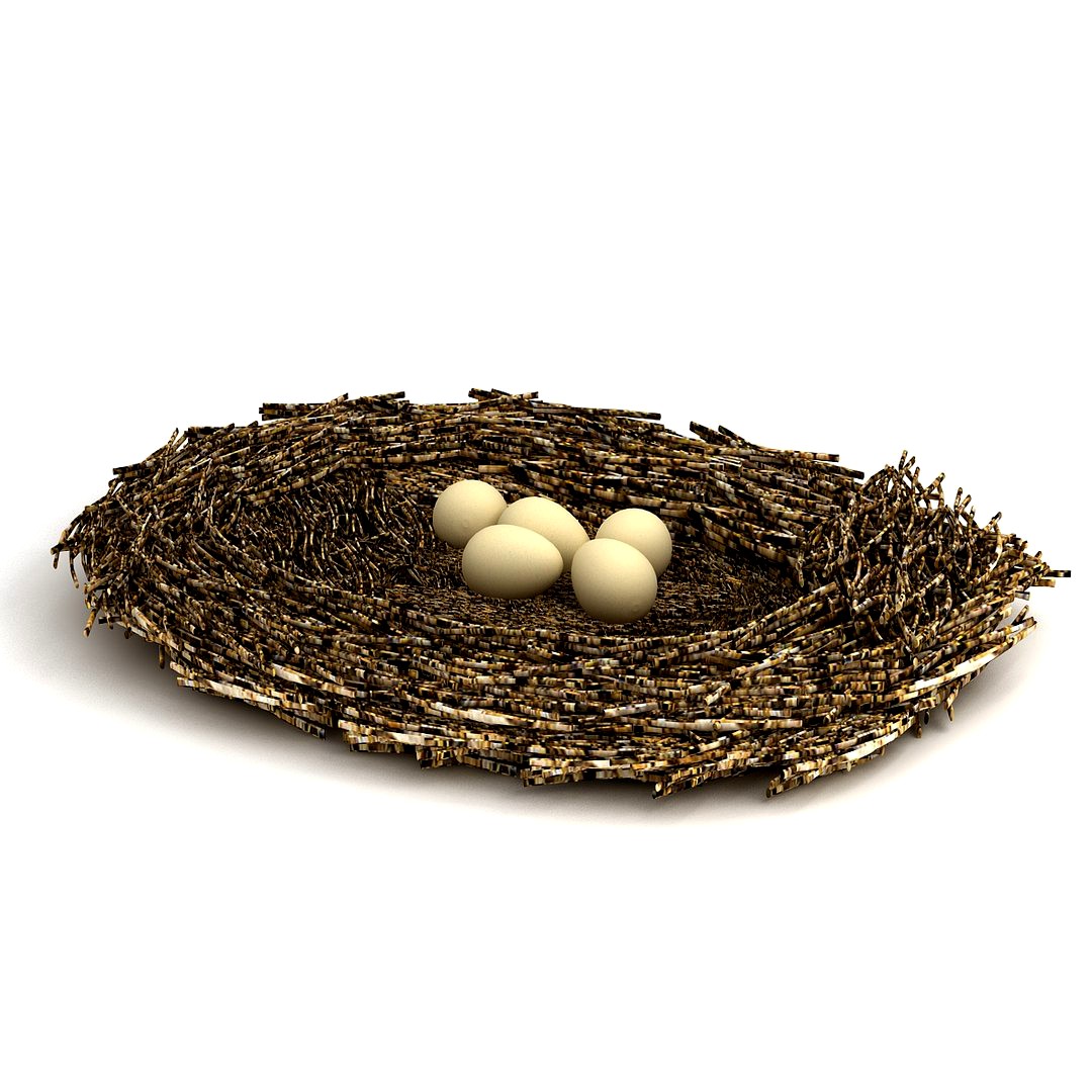 Bird Nest With Eggs
