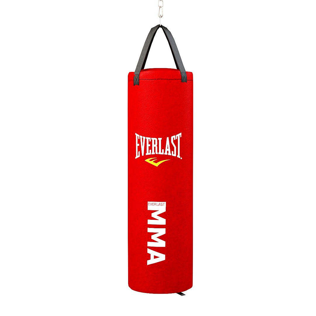 Punching Bag Everlast 2