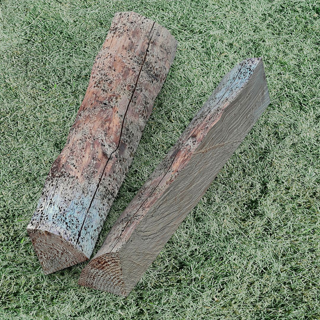 Logs in the grass