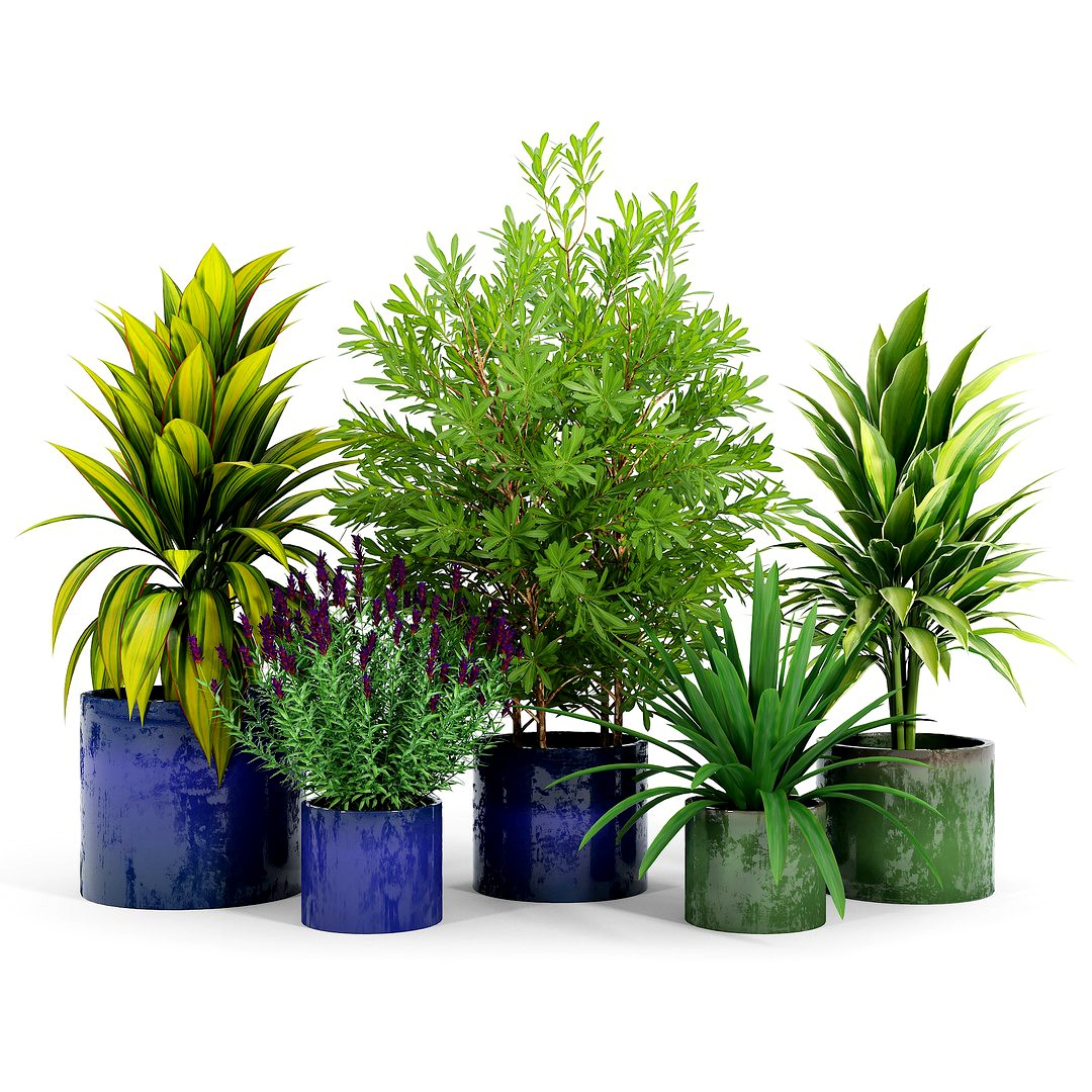 Maya Blue Ceramic Planters, Maya Green Ceramic Planters