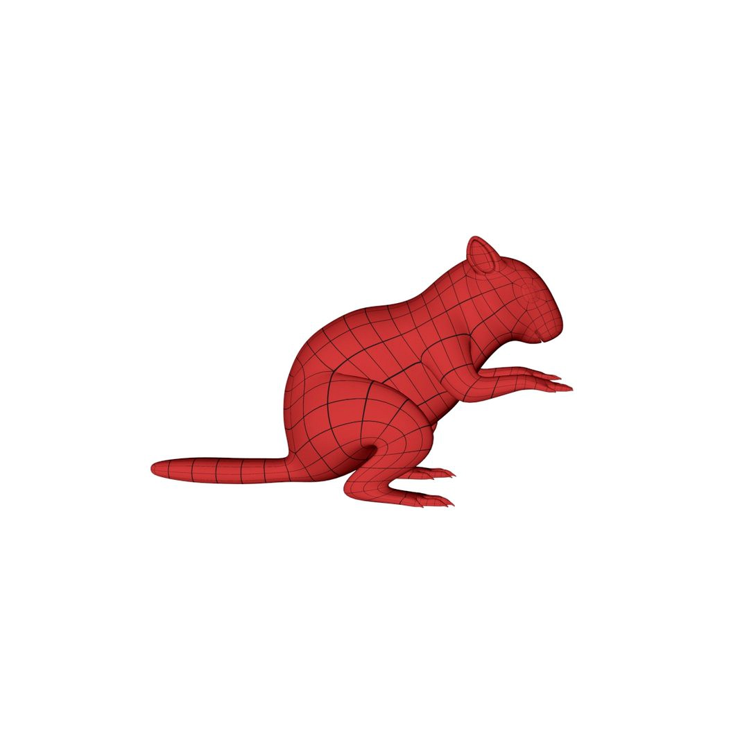 Chipmunk base mesh