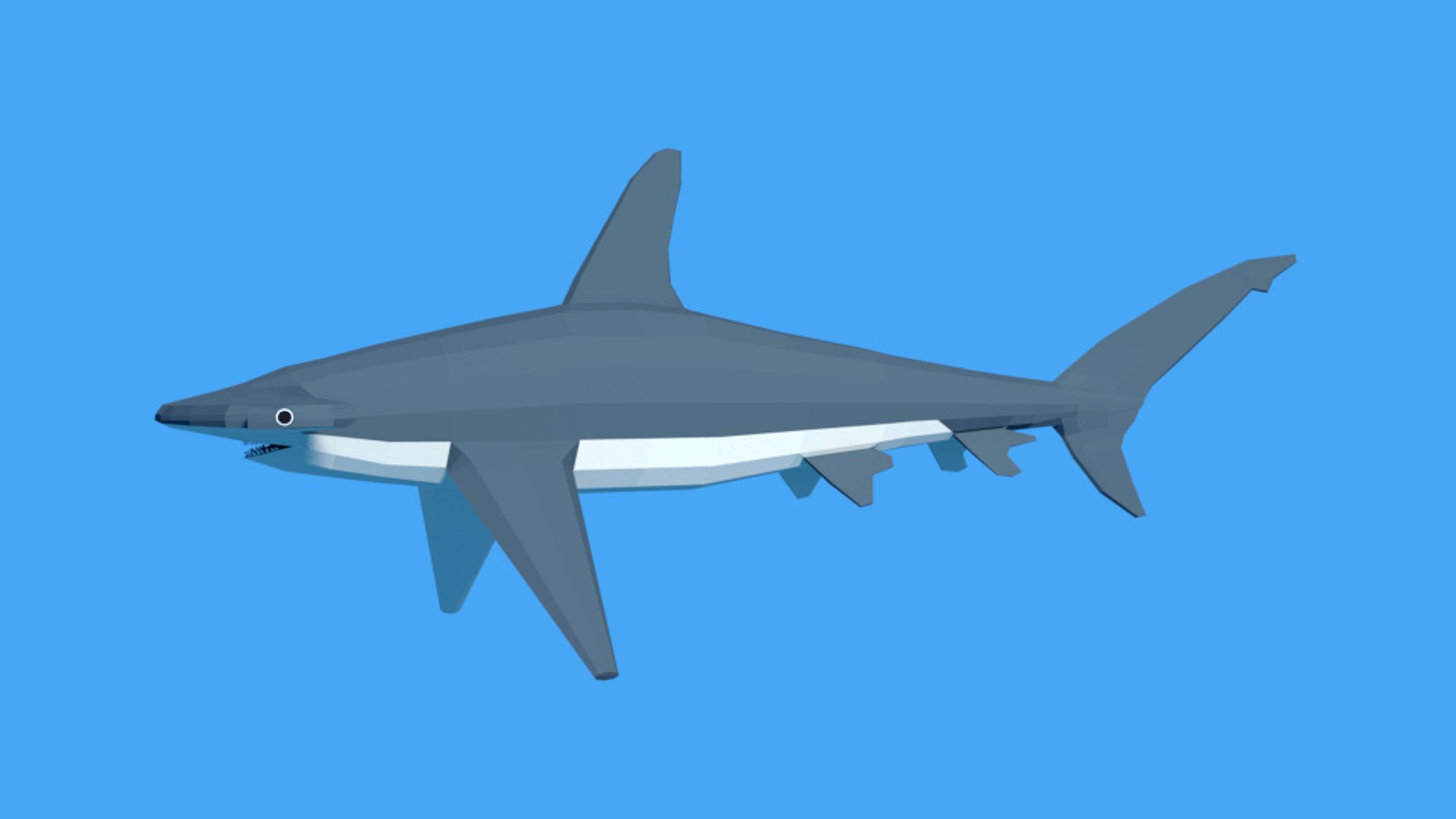 Low Poly Cartoon Hammerhead Shark