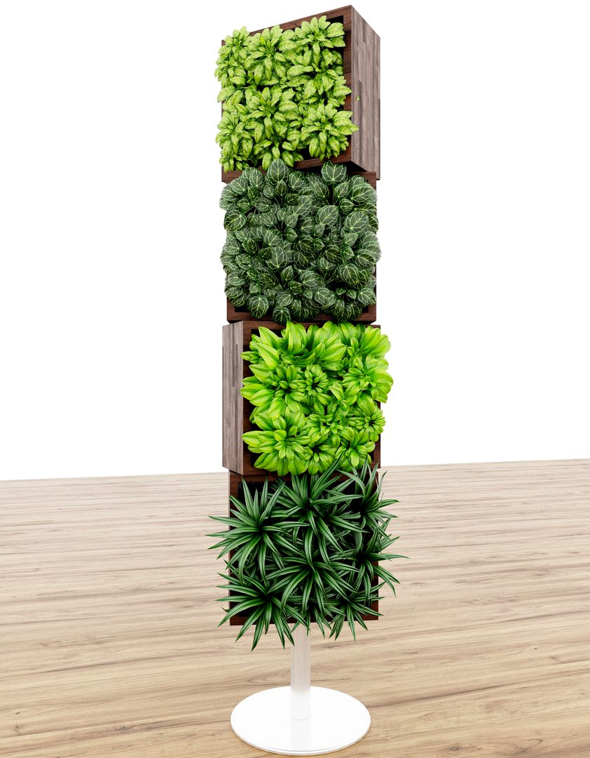 plant 05