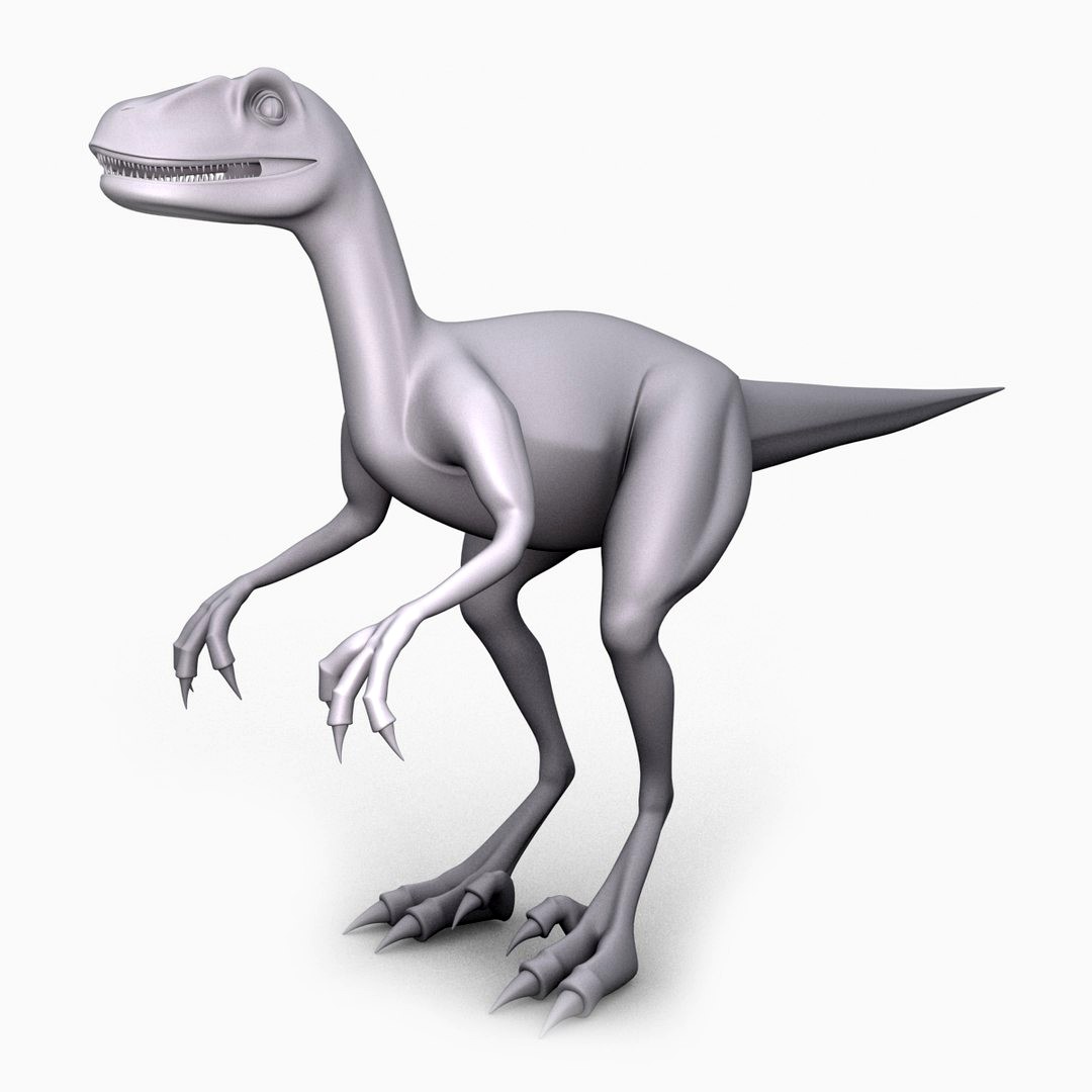 Raptor