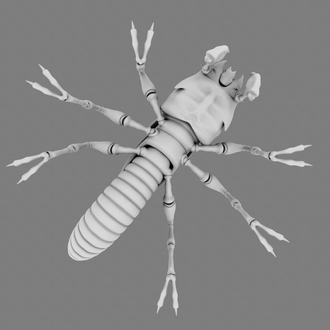 Termite