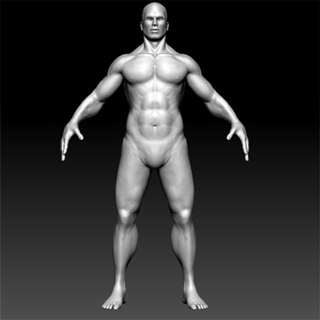 template muscle man
