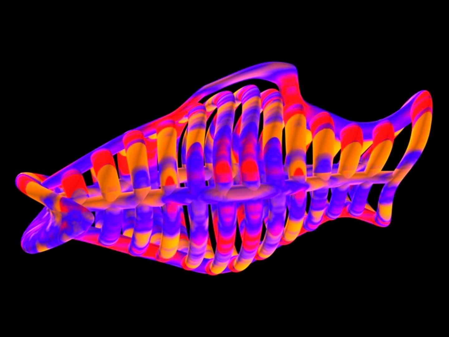abstract fish