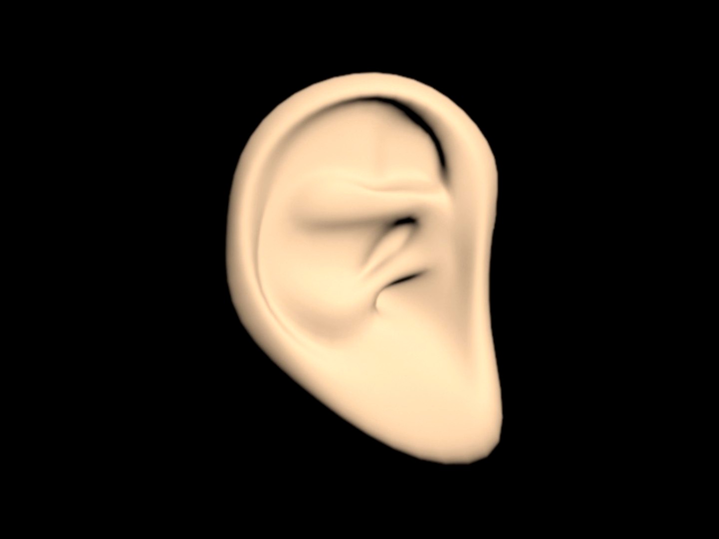 ear