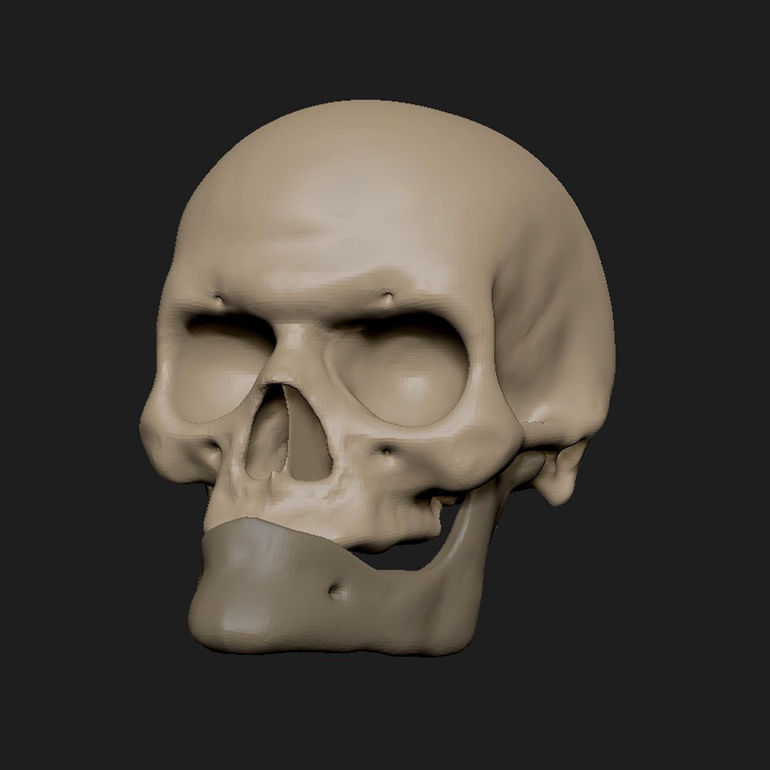 Old Man Skull (Zbrush)