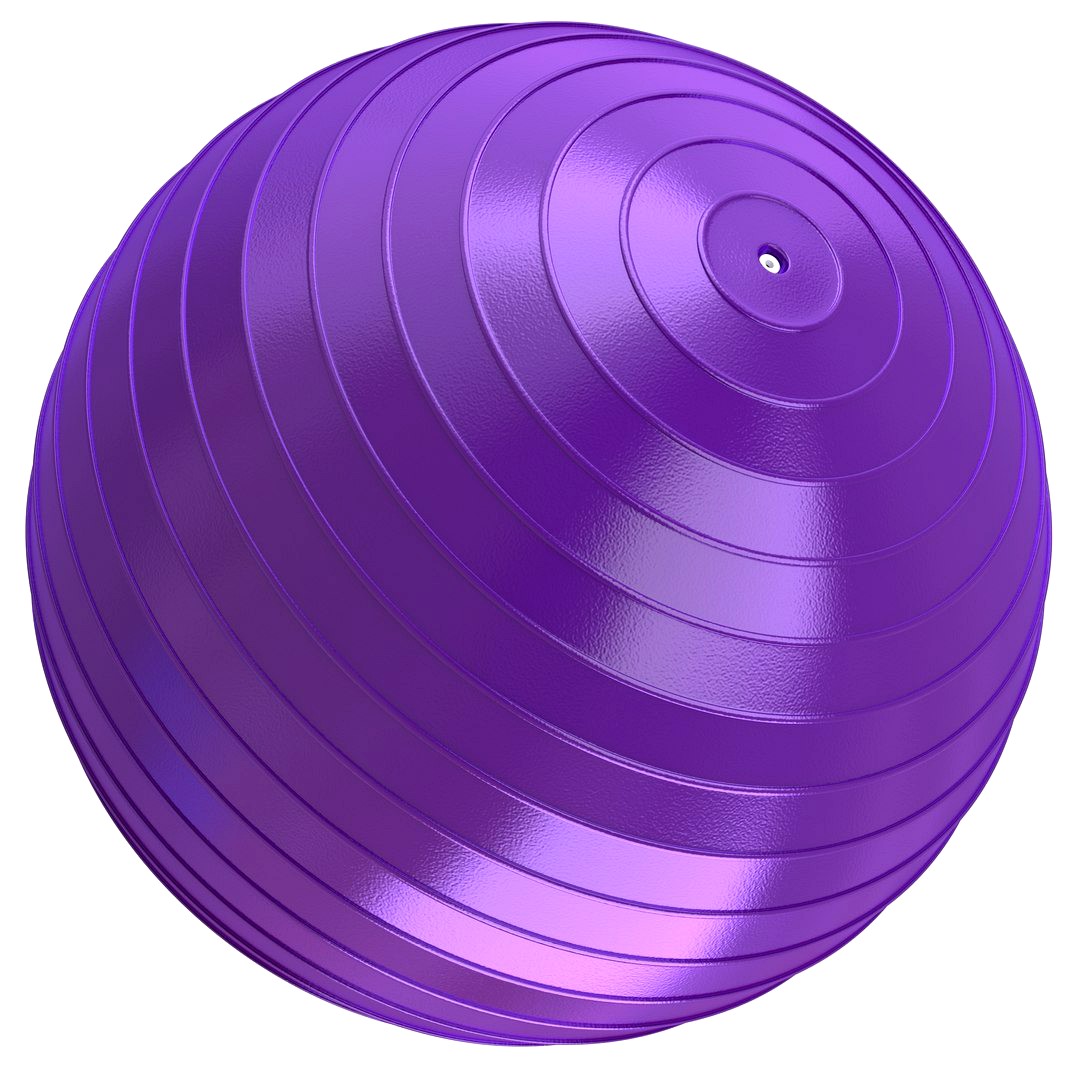 Yoga Ball Purple