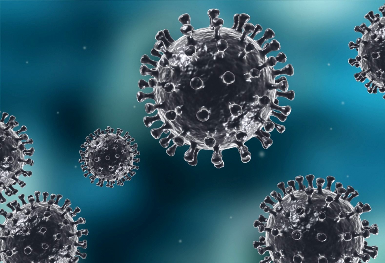 Infectious viruses Bacilli STREPTOCOCCI cellular molecules