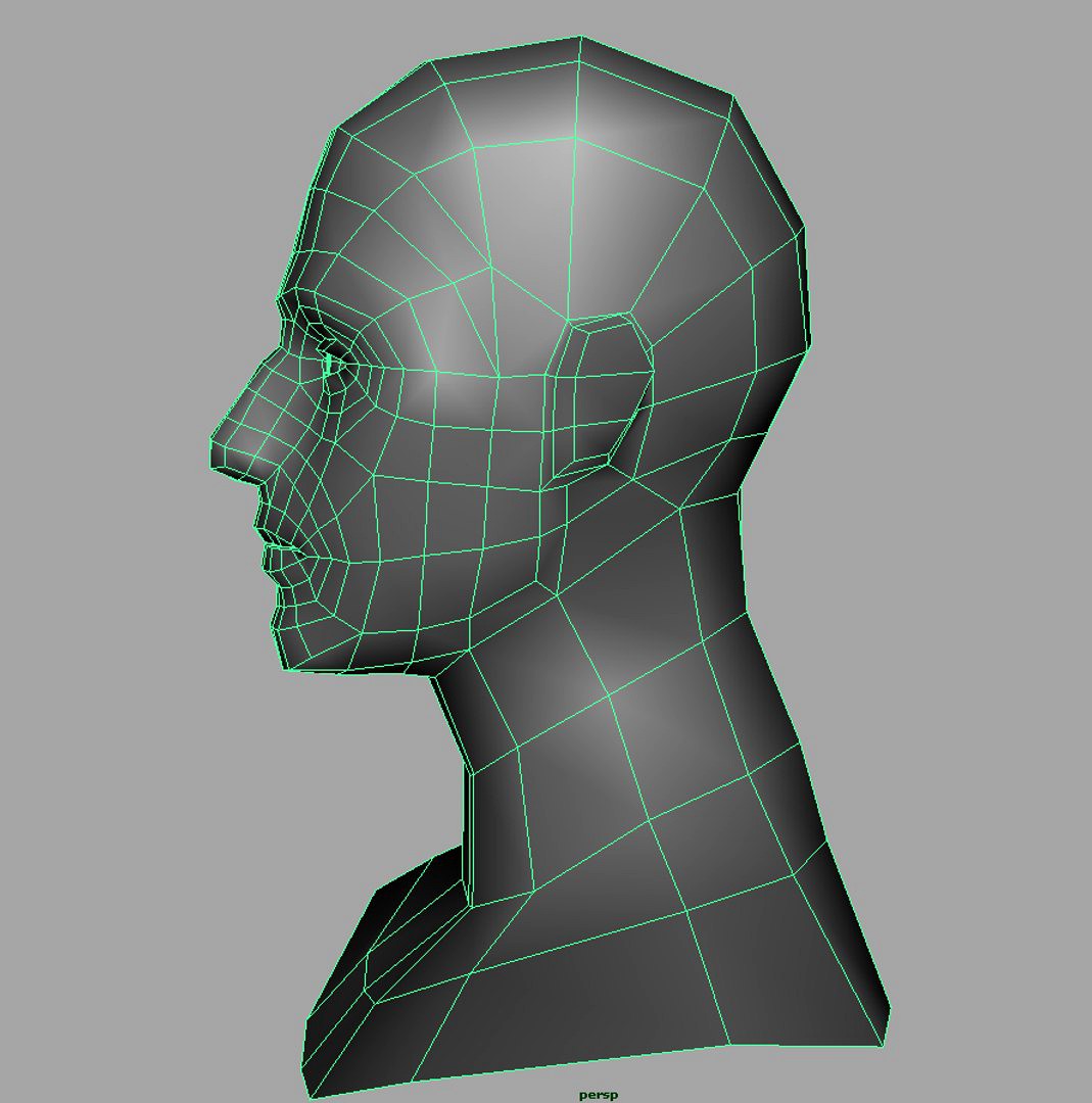 Head