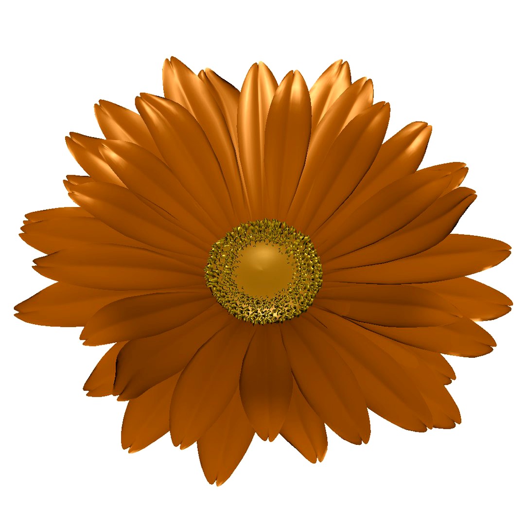Daisy