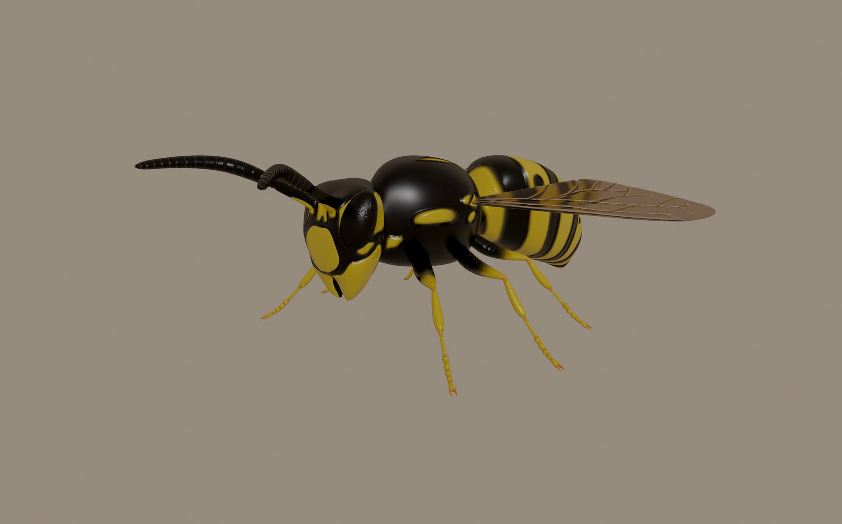 Wasp