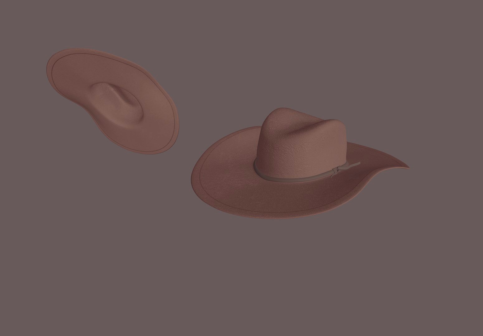 Cowboy Hat