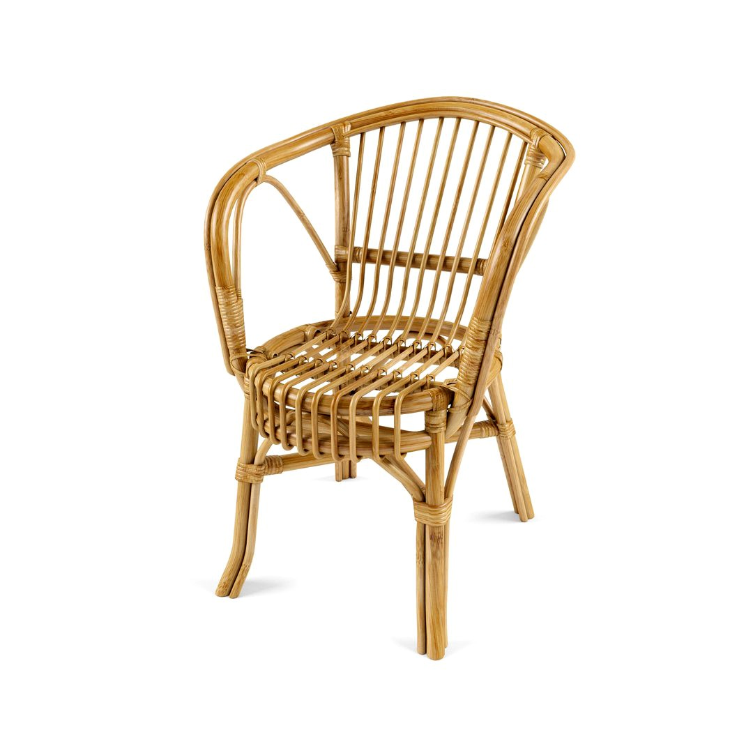 Rattan Armchair With Cushion