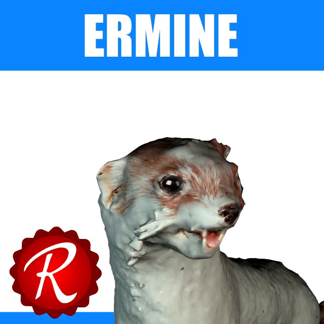 Ermine 3D Model