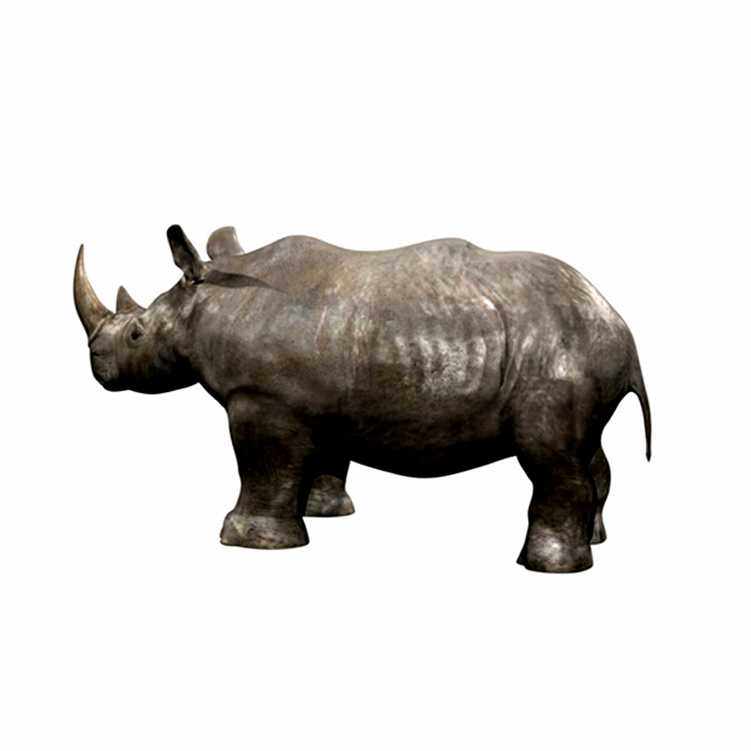 Rhino