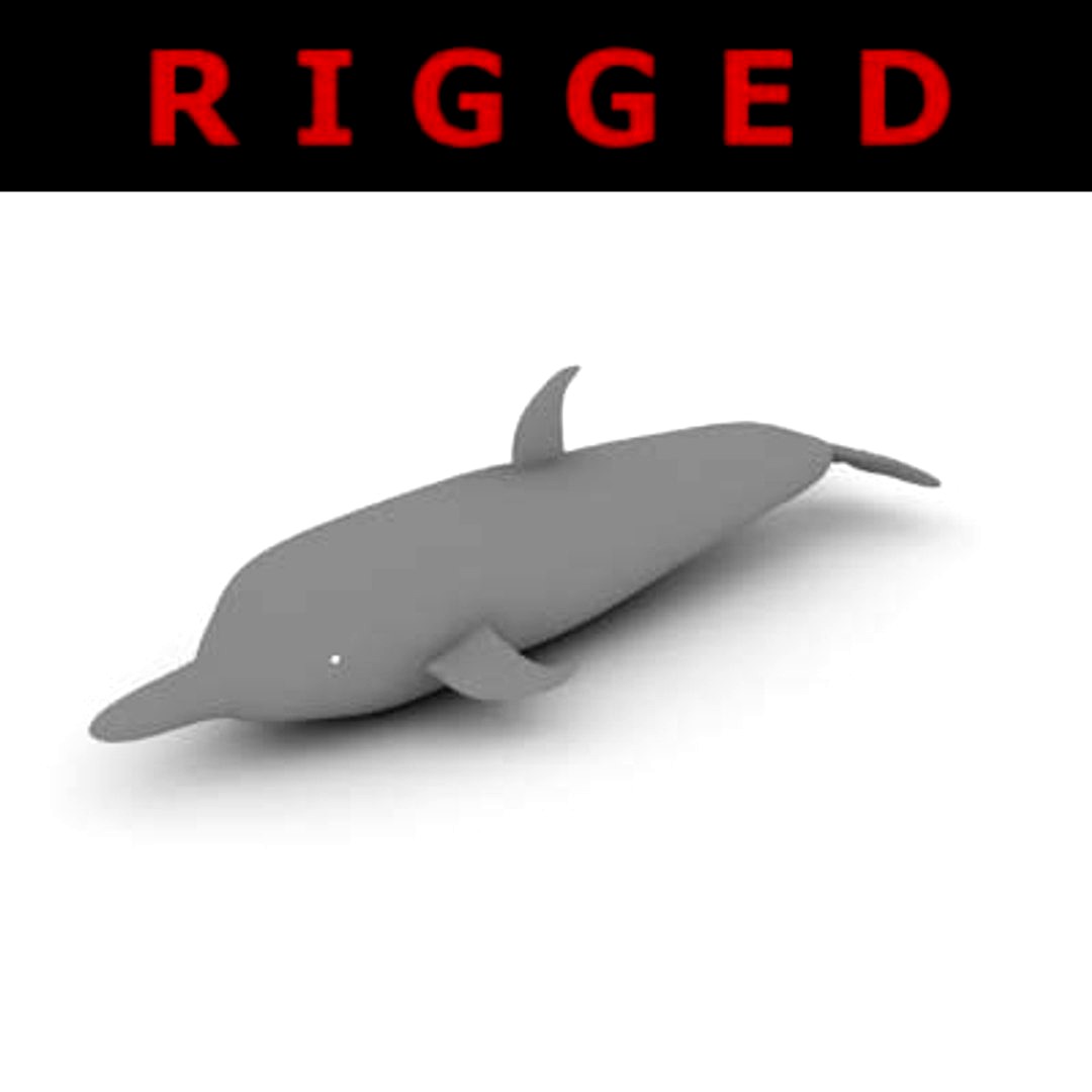 Dolphin - Rigged 3d model