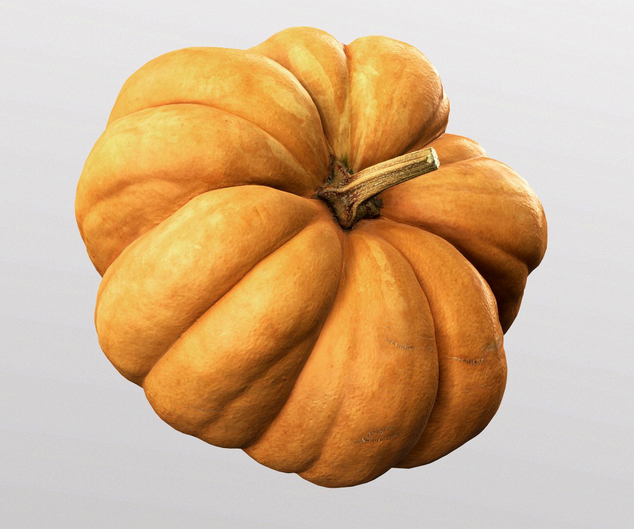 Pumpkin, high polly model, #4