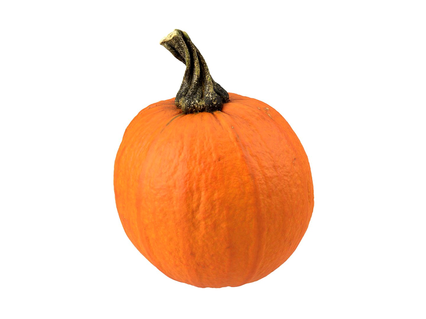 Highly Detailed Decorative Gourd Scan 3(1)