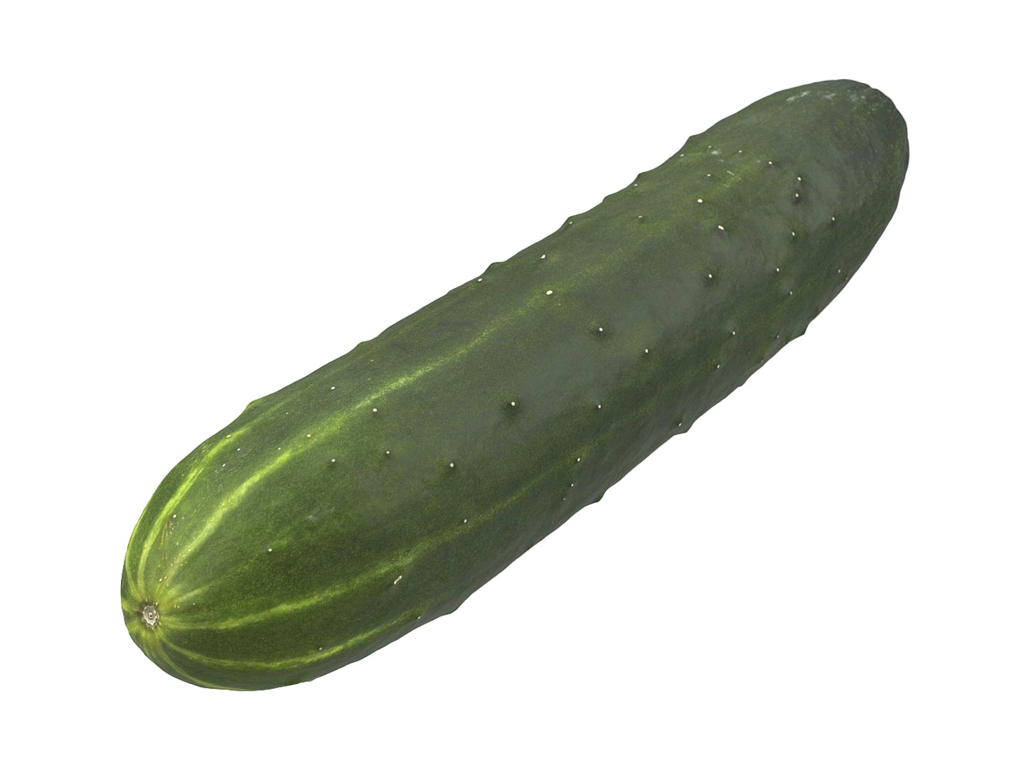 Highly Detailed Cucumber Scan
