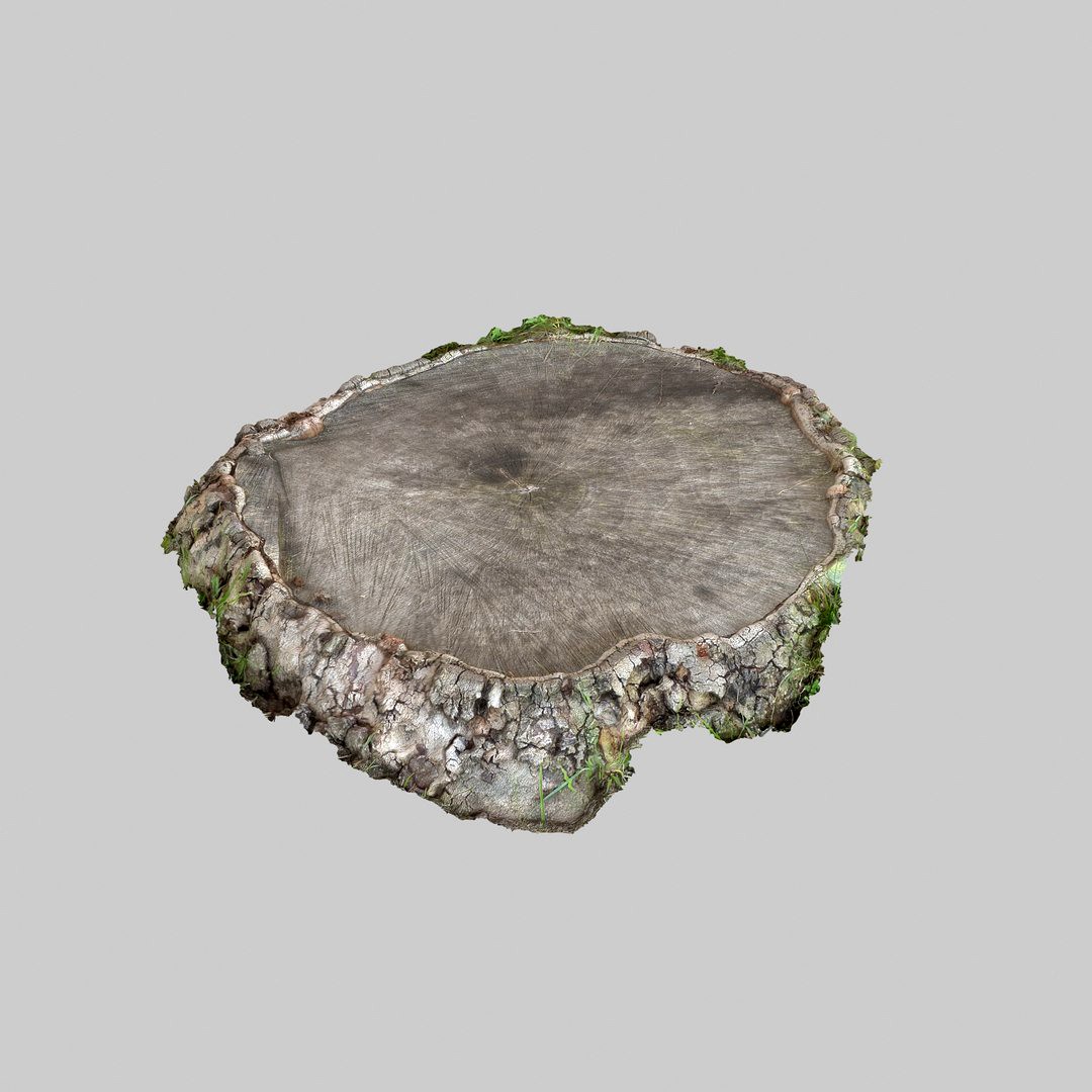 Stump 06