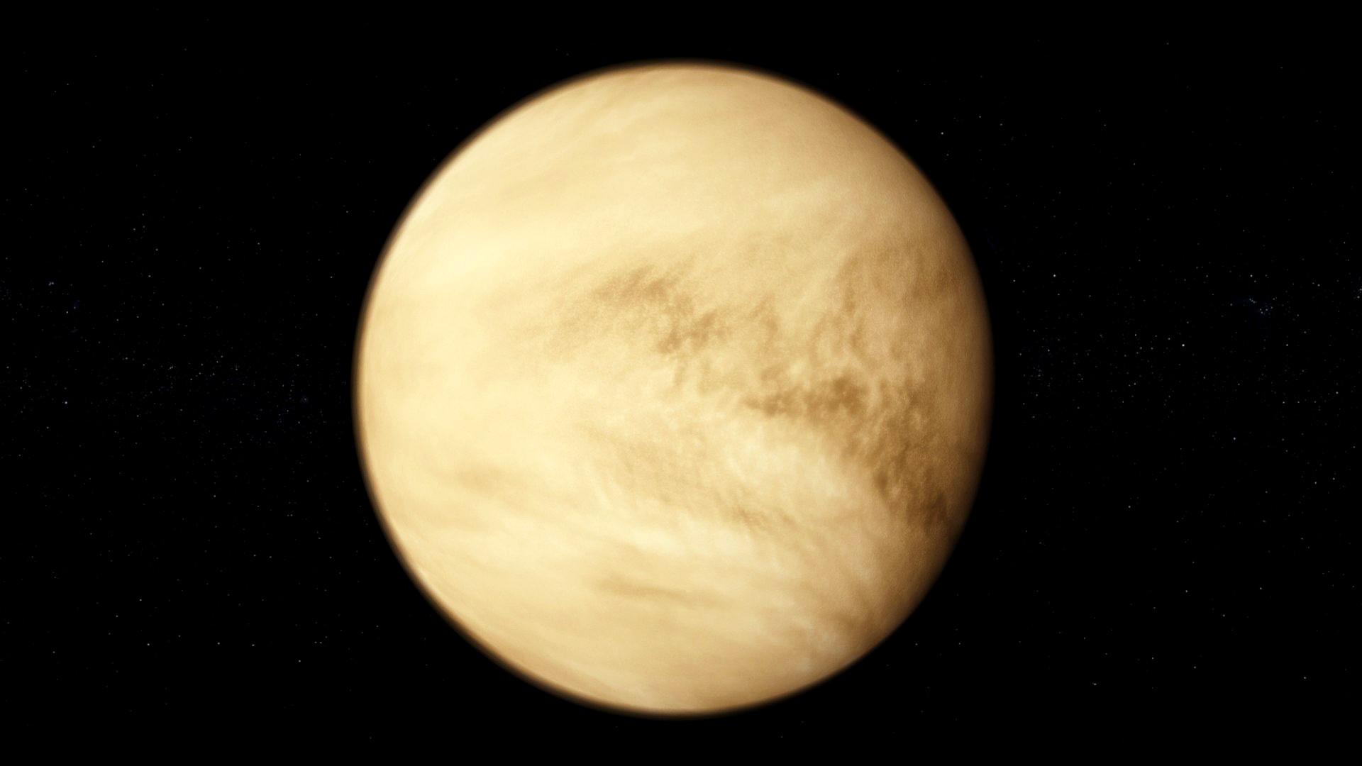 Venus 8K