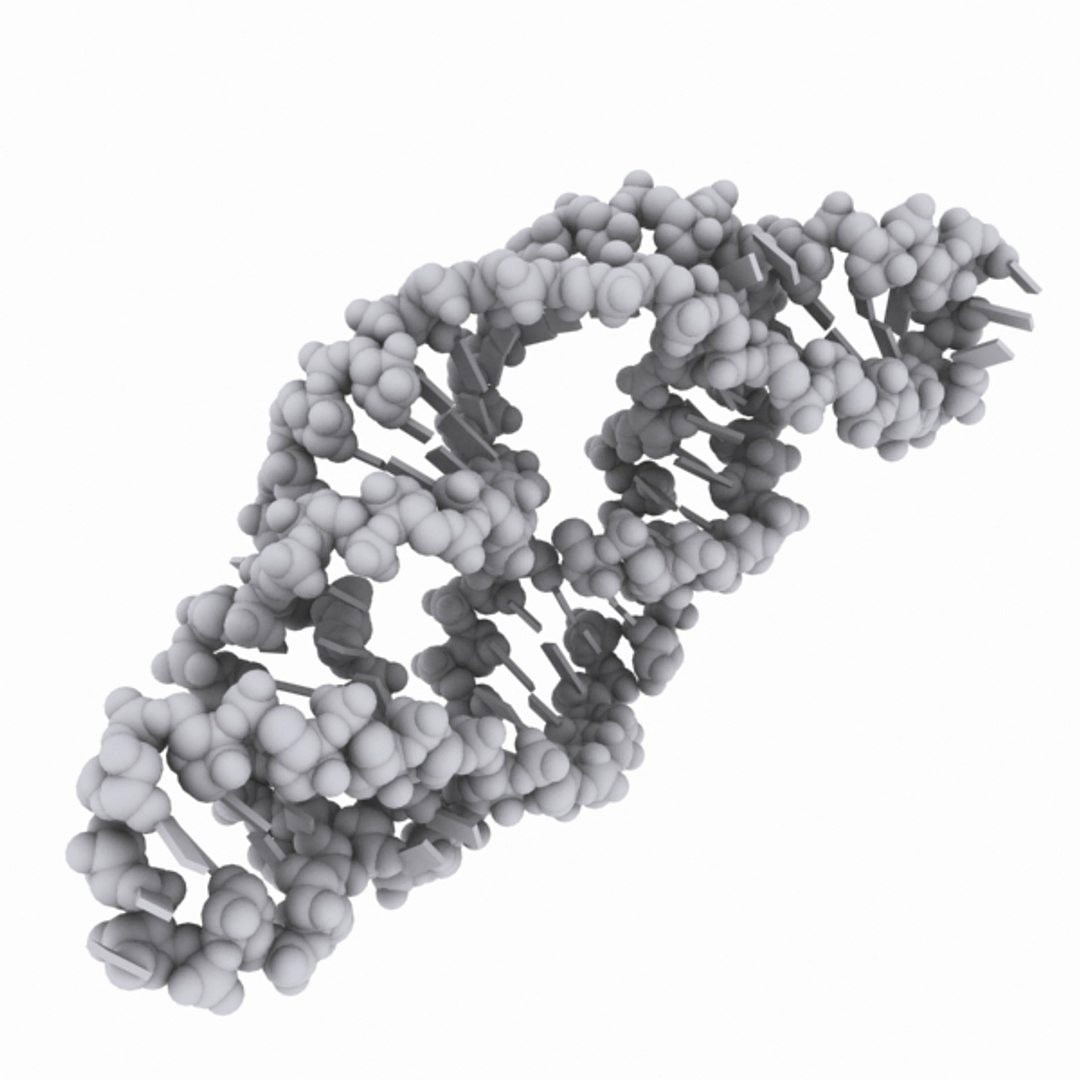 Hammerhead Ribozyme
