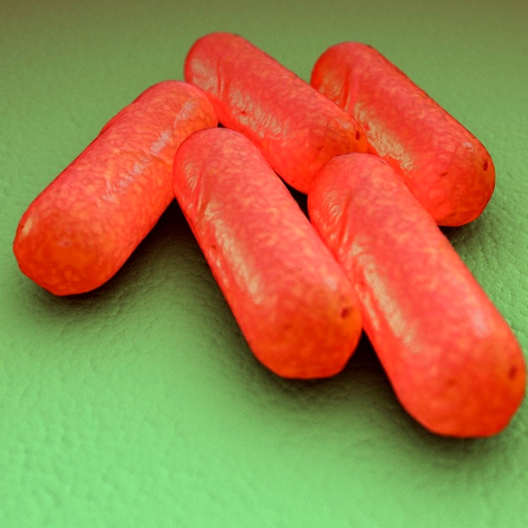 Bacillus