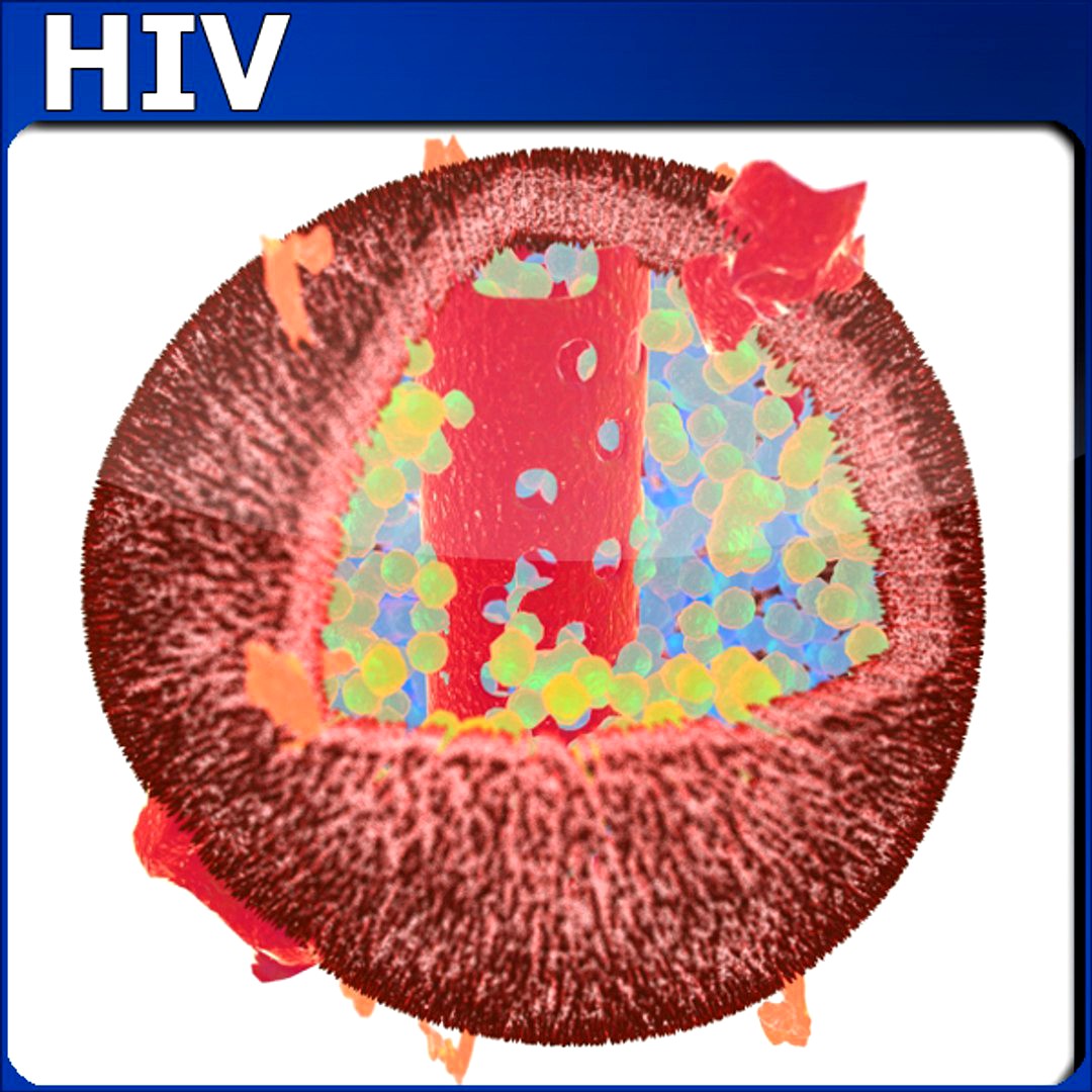 HIV Structure HD