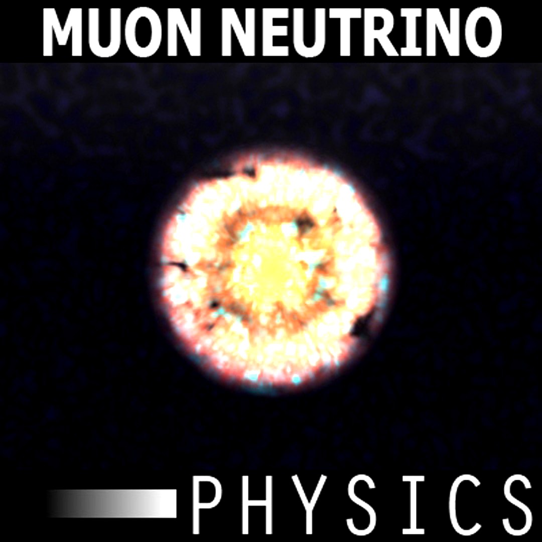 Muon Neutrino - Particle physics
