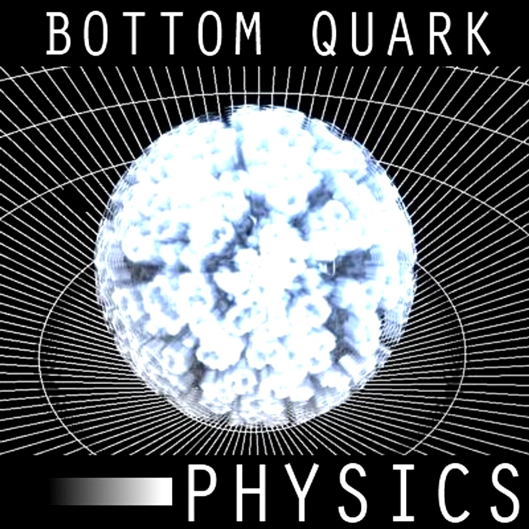 Bottom Quark