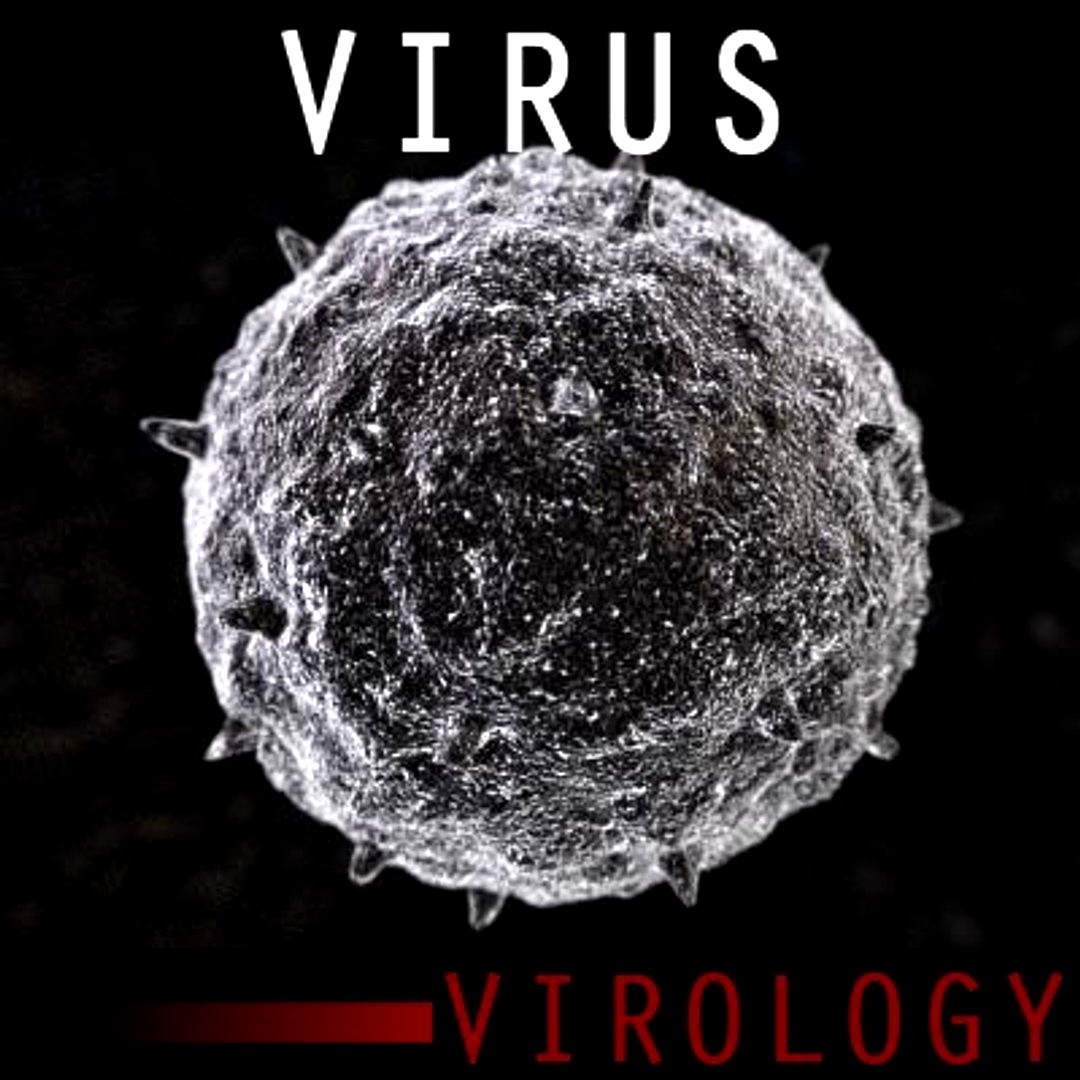 Virus Free